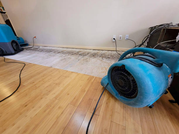 Reliable Water Extraction contractor in Novato, CA by Hirex Water Damage