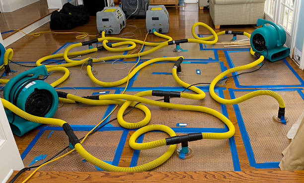 Professional Water Extraction technician working in Novato, CA